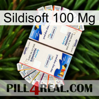 Sildisoft 100Mg kamagra1
